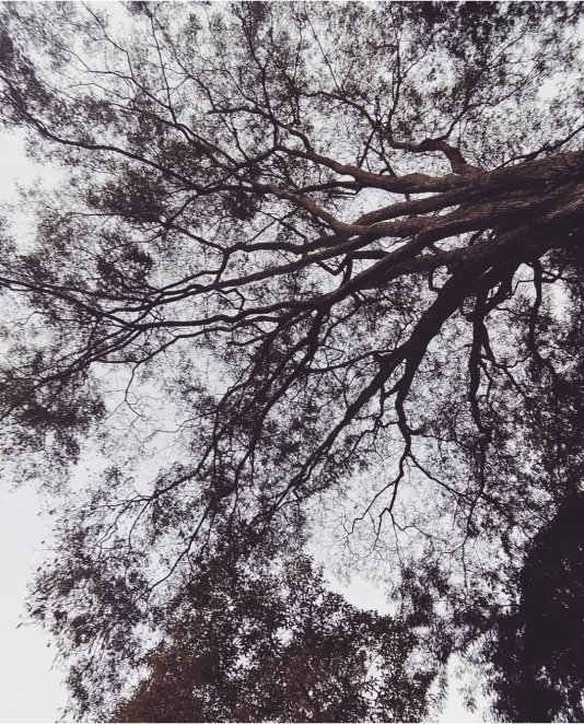 Paula Boechat - Psicóloga e Psicoterapeuta